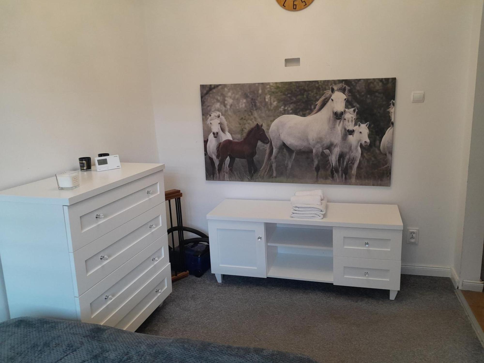 Apartament "Konie I Anioly" Boguszow-Gorce Luaran gambar